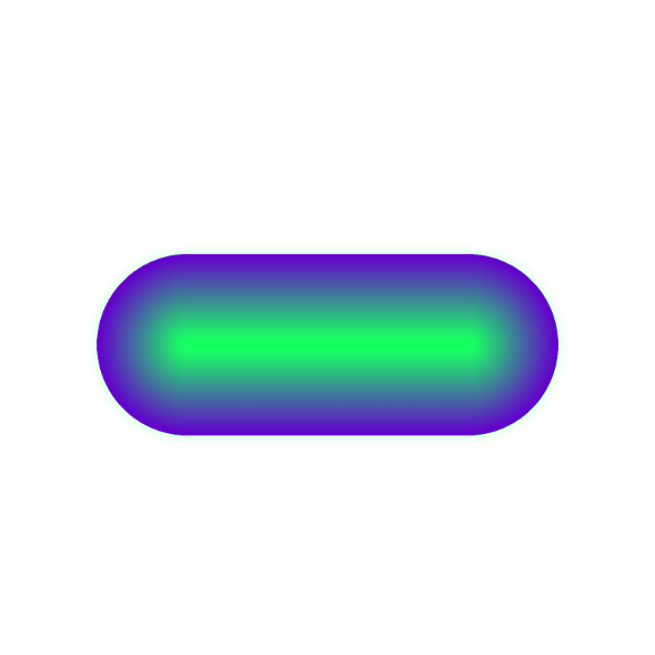 bouton web