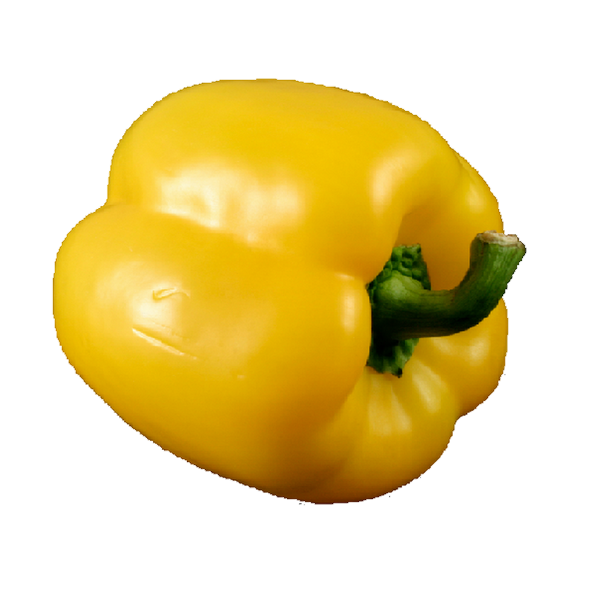 poivron jaune